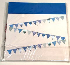 Party Tissue Paper Pom Poms Banners Mixed Sizes Styles Blue Hanging