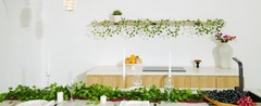 24 Pack 168Ft Artificial Ivy Fake Vines,Ivy Garland Greenery Garland Fake