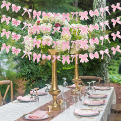 Watercolor Pink Bow Banner Garland- 4Pcs Vintage Pink Bow Hanging Banner Aesthet