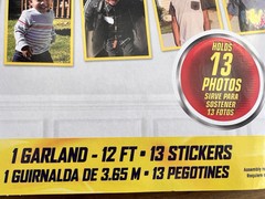 1st Birthday Mickey Mouse Forever 13-Picture Photo Garland Kit $15 each