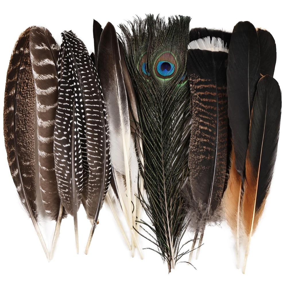 Large Natural Feathers Bulk-35PCS- 6 Styles Assorted Natural Feathers, Peacoc…
