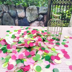 1 Inch Round Tissue Paper Table Confetti Dots for Wedding Baby Shower Gender …