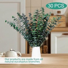 30 Pcs Dried Eucalyptus Stems for Shower, 17» Natural Real Preserved Green