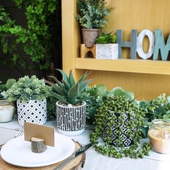 Winlyn 3 Pcs Small Potted Succulents 5.9″-7.4″ Wide and 7″-11″ Tall, Green