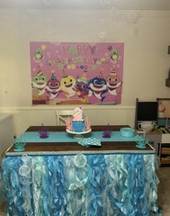 Blue Tulle Table Skirt Solid Ocean Theme Birthday Party Table Decoration