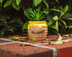 Silver Buffalo Disney Winnie The Pooh Hunny Pot One Size, the