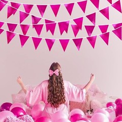 Hot Pink Party Decorations Triangle Pennant Banner Flag Rose