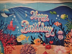 Under the Sea Party Decorations Set 56×39 Banner Mylar Balloons NEW