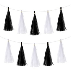 20Pcs Black,White Tassel Garland Banner with Rope
