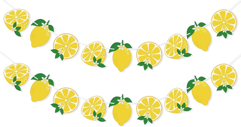 Lemon Banner Garland Lemon Party Decorations for Birthday, Baby Shower Supplies