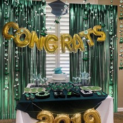 Graduation Decorations Class of 2026 Green Tinsel Foil Fringe Curtain Backdro…
