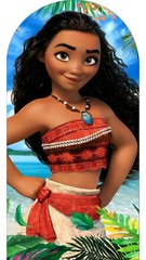 popular Moana Arch Panel Backdrops Cover Baby Shower Birthday Party Decorations