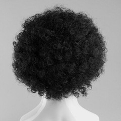 Adult’s Curly Party Black Wig (One size) Costume Humor