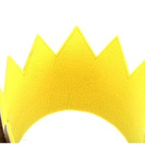 Crown Wild Ones Birthday Hallowen Cosplay Birthday Crown Party Fur Trim