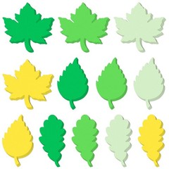 360 PCS Spring Leaf Paper Cutouts Assorted Green 4 Inch Maple Oak Birch Die Cut