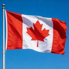 Flag, Flag of 3×5 Ft – Polyester Lightweight Flags with 2 Brass 1 Pc Canada