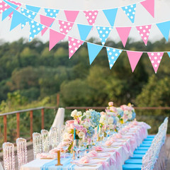 32Ft Gender Reveal Party Decorations Pink and Blue Circle Dot Pennant Triangle B