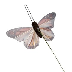 YCHTEWY-Feather Fake Butterfly for Craft Decoration Set of 12 with B, A Wire