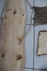 Live Edge Wooden Sign – Pine Lumberjack Party Decorations