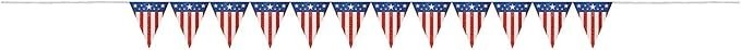 Amscam Banner, 9 ft. x 7 in, Multicolor