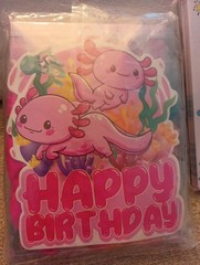 Axolotl Birthday Card Invitations, Ballons Etc. & Slumber Party Game Cards~ New