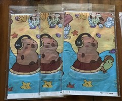 Capybara Birthday Party Decoration Lot