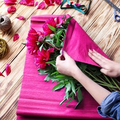 Crepe Paper 4 Rolls 7.5ft in 4 Colors Light Pink Dark Pink Hot Pink Fuchsia