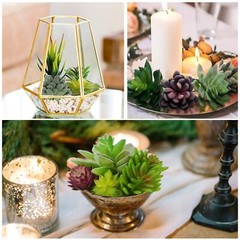 Anoak Artificial Succulent Plants – 16 Pcs Set Faux Green,multi-color
