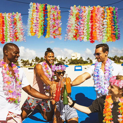 Hawaiian Leis Decorations,Leis for Luau Party Decor Flower,Tropical Hawaiian Bul