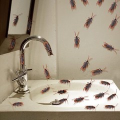 20 Prank Fake Roaches Plastic Cockroaches Creepy Roach Bugs Party Game Toy Gifts