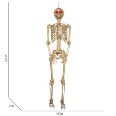 5 ft 5 in LED Eyes Poseable Human Size Skeleton Skull Halloween Decoration Prop