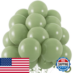 Zizasary 50Pcs Sage Green Balloons 12Inch Matte Boho Green Balloons For For