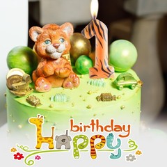 Zi Lan Tiger Stripe 4th Birthday Number Candle, Jungle Animal 4, Orange
