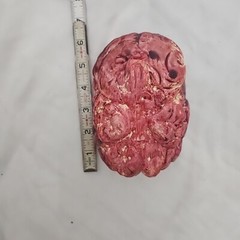 Halloween Scary Decorations Severed Hand, Brain, Lights, Blood, Web Party Props