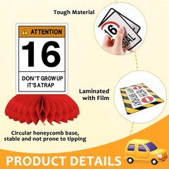 16th Birthday Driver License Party Decorations 12 Pcs Novelty License Set