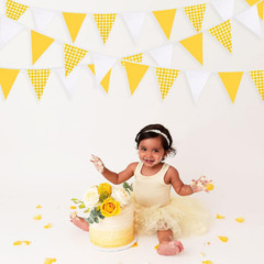 Yellow Gingham Fabric Bunting Banner Flags for Picnic Wedding Birthday Baby