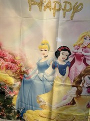 Disney PRINCESS hanging Backdrop~5ftx3ft~Happy birthday~vibrant Colors