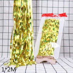 2m/3m Gold Silver Metallic Foil Tinsel Fringe Curtain Party Photo Background 1pc