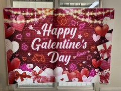 Large 7×5 Ft Happy Galentines Day Backdrop Banner, Red Pink Galentines Day. (M