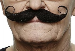Self Adhesive Fake Mustache, Novelty, Maestro False Facial Hair, Costume Acce…