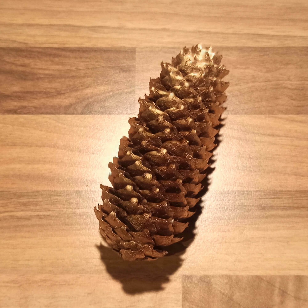 Golden Spruce Pine Cone Approx. 11Cm Real Natural Product Decoration Christmas