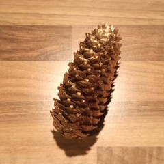 Golden Spruce Pine Cone Approx. 11Cm Real Natural Product Decoration Christmas
