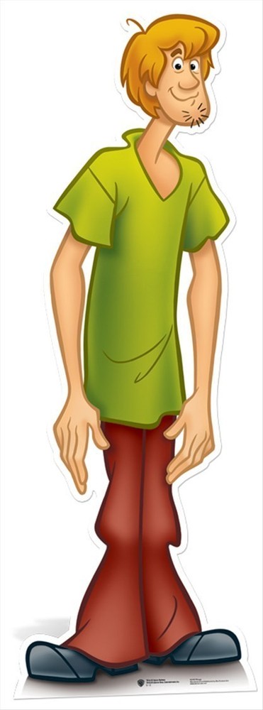 Shaggy Scooby-Doo Lifesize CARDBOARD CUTOUT standee standup cartoon cool kids