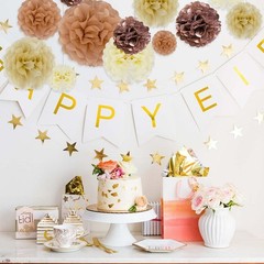 20 PCS Tissue Paper Pom Poms Set Mixed Colors Flowers Decor 6/10/12/14 Inch