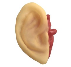 5pc Bloody Body Part Fake HUMAN SEVERED EARS Zombie Hunter Halloween Horror Prop