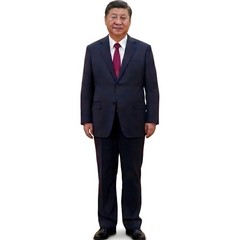 H38321 Xi Jinping General Secretary Chinese Communist Cardboard Cutout Standee S
