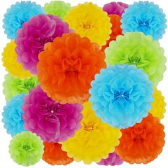 20 Pcs Multicolor Tissue Paper Pom Poms for Birthday Party Fiesta Decor