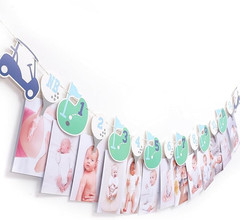 Hole in One First Birthday – Golf 1St Birthday Decorations,Golf 12 Month Photo B