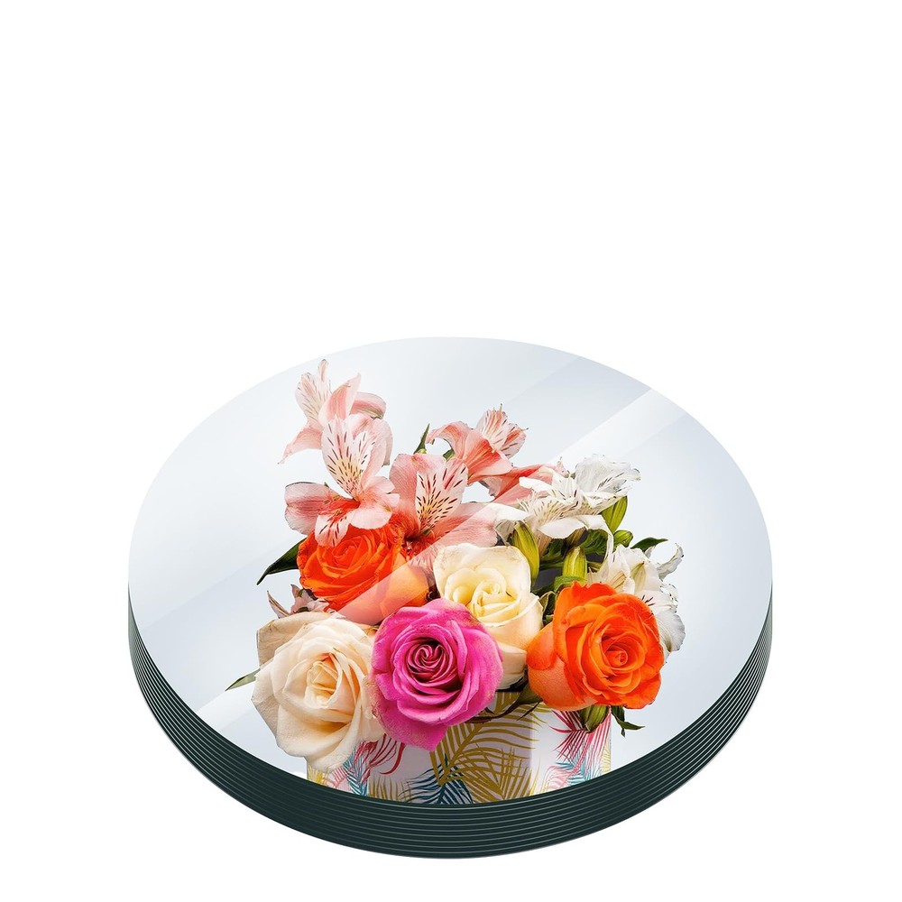 10 PCS Acrylic Round Mirrors Trays Plates Circle 1.6mm 12 Inch 30cm Craft