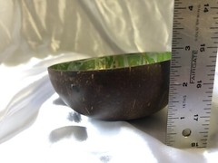 3 Coconut Shell Bowls Hand Painted Dragonflies Lotus Flower Gold Fish Luau Party